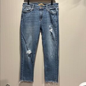 Joe’s Jeans - Distressed Blue Jeans